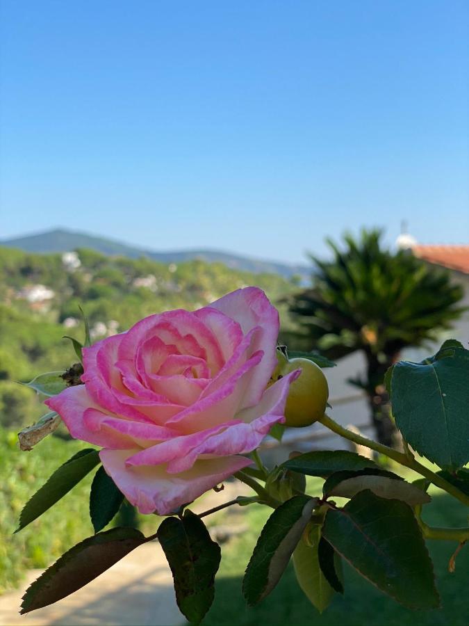 Casa Serena *