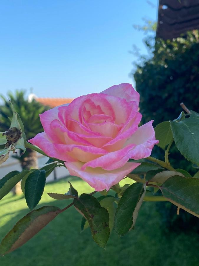 Casa Serena Vakantiehuis Capoliveri (Isola d'Elba)